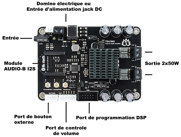 TINYSINE TSA7802A Module Amplificateur TPA3116D2 : schéma explicatif